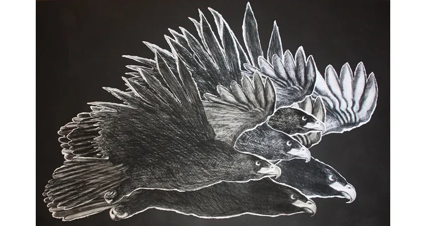 Laura Lio. Sobre/salto