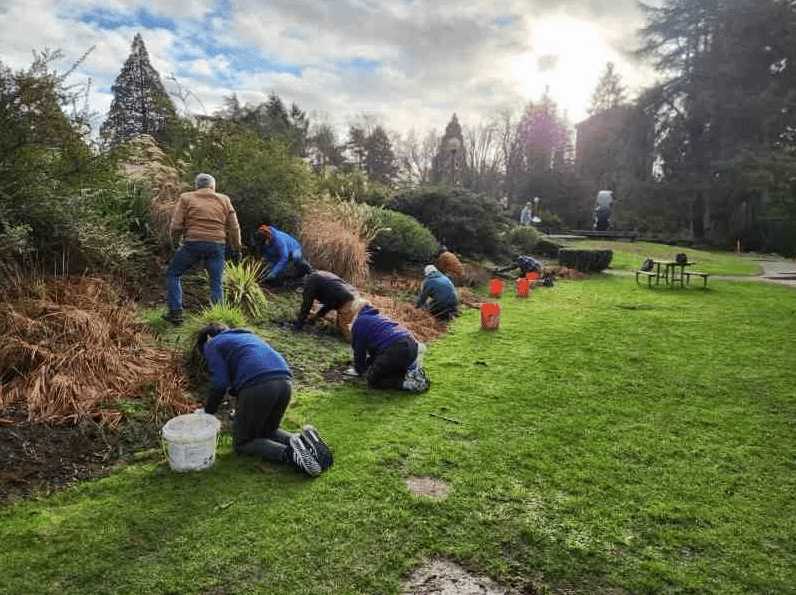 2nd Saturday Work Party 1