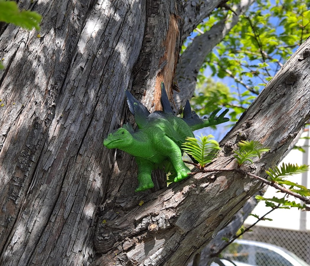 The Dinosaur Forest 1