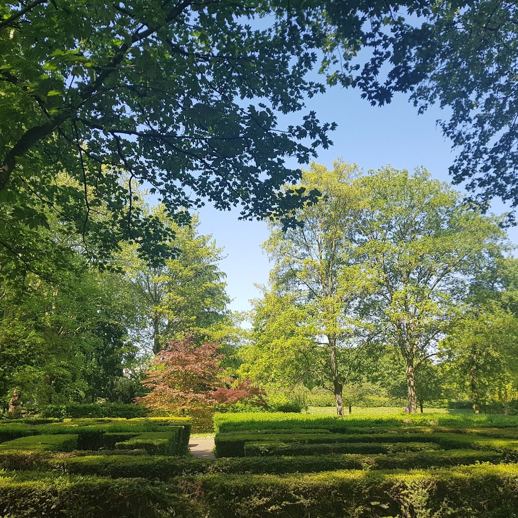 1ère sortie ornithologique au parc de la Légion d'Honneur 3