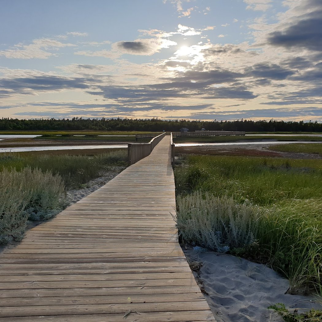 Kouchibouguac National Park 2