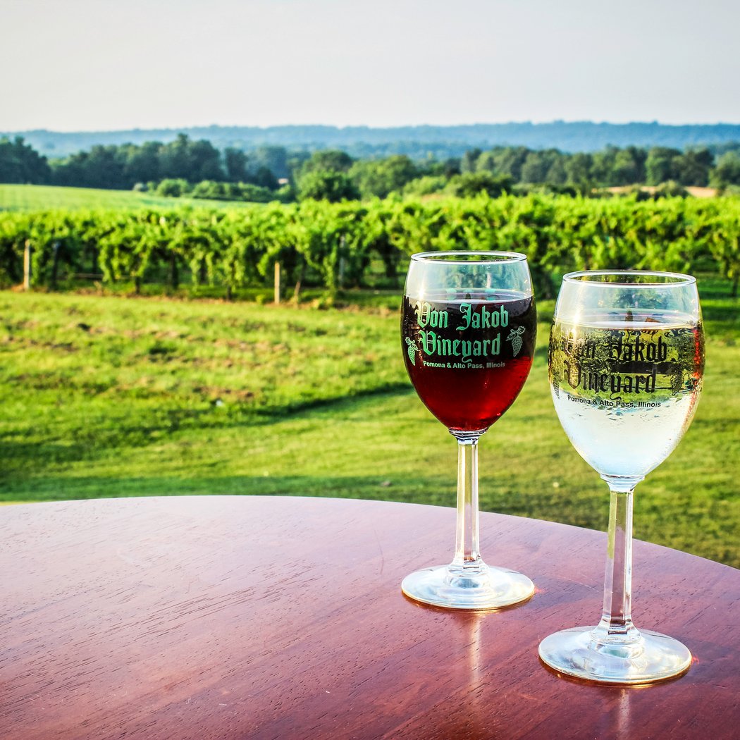 Illinois Wine Experience 5