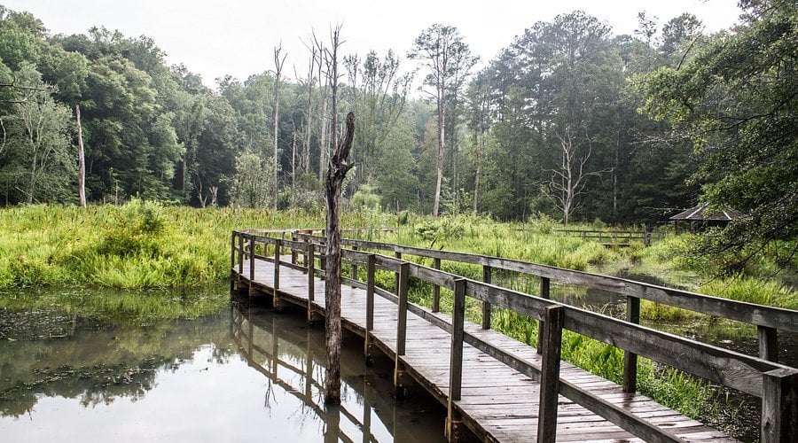 AWF Delta & Bay Conservation Center 2
