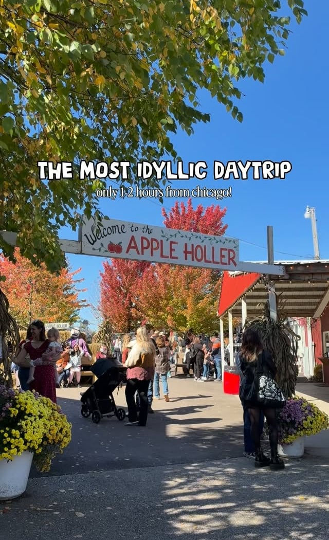 Apple Holler 1