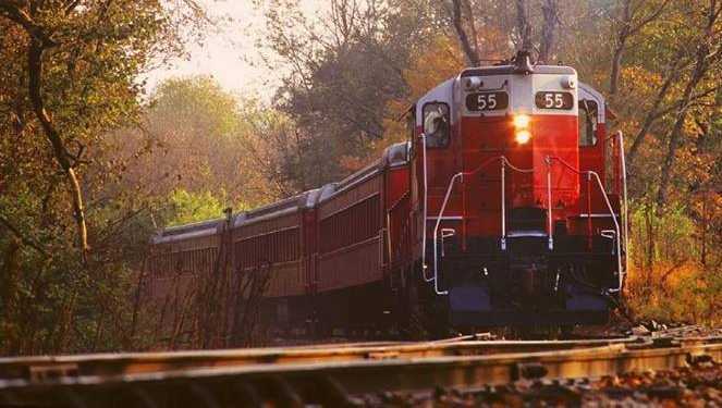 Pumpkin Patch Express 1