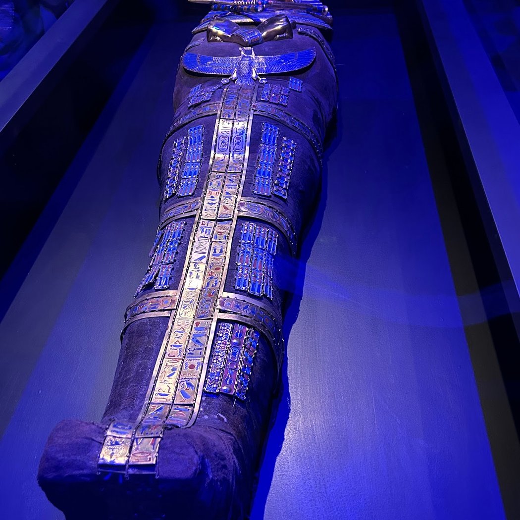 Exposition Toutankhamon. À la découverte du pharaon oublié 4