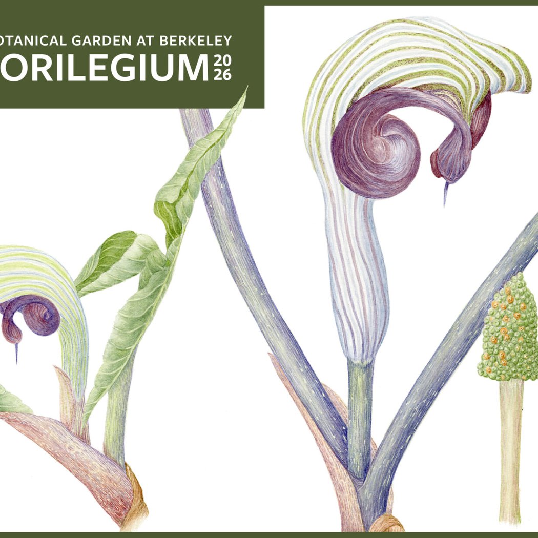 UCBG Florilegium Exhibition 1
