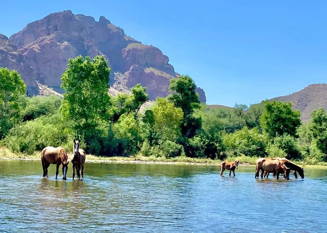 Salt River 2