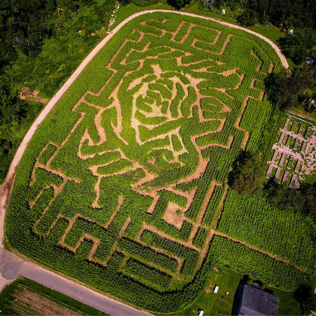 Queens County Farm Museum 1