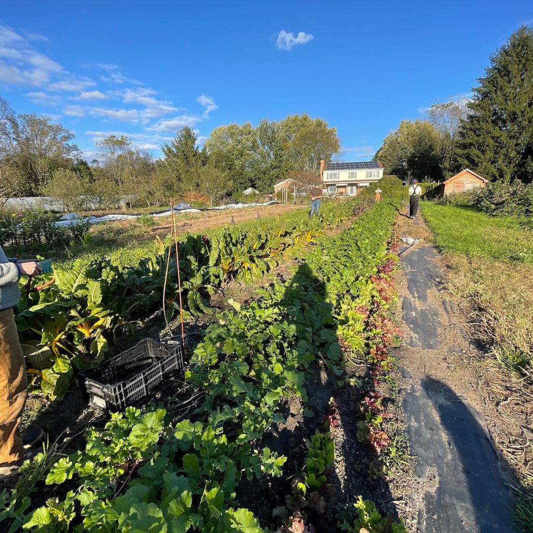 Blue Spring Farm 2
