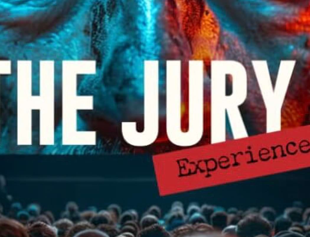 The Jury Experience