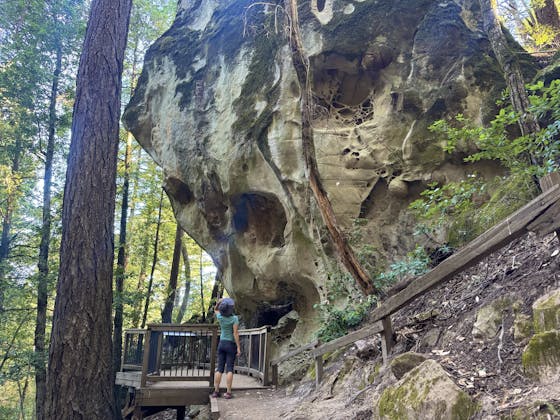 El Corte de Madera Creek Open Space Preserve 2