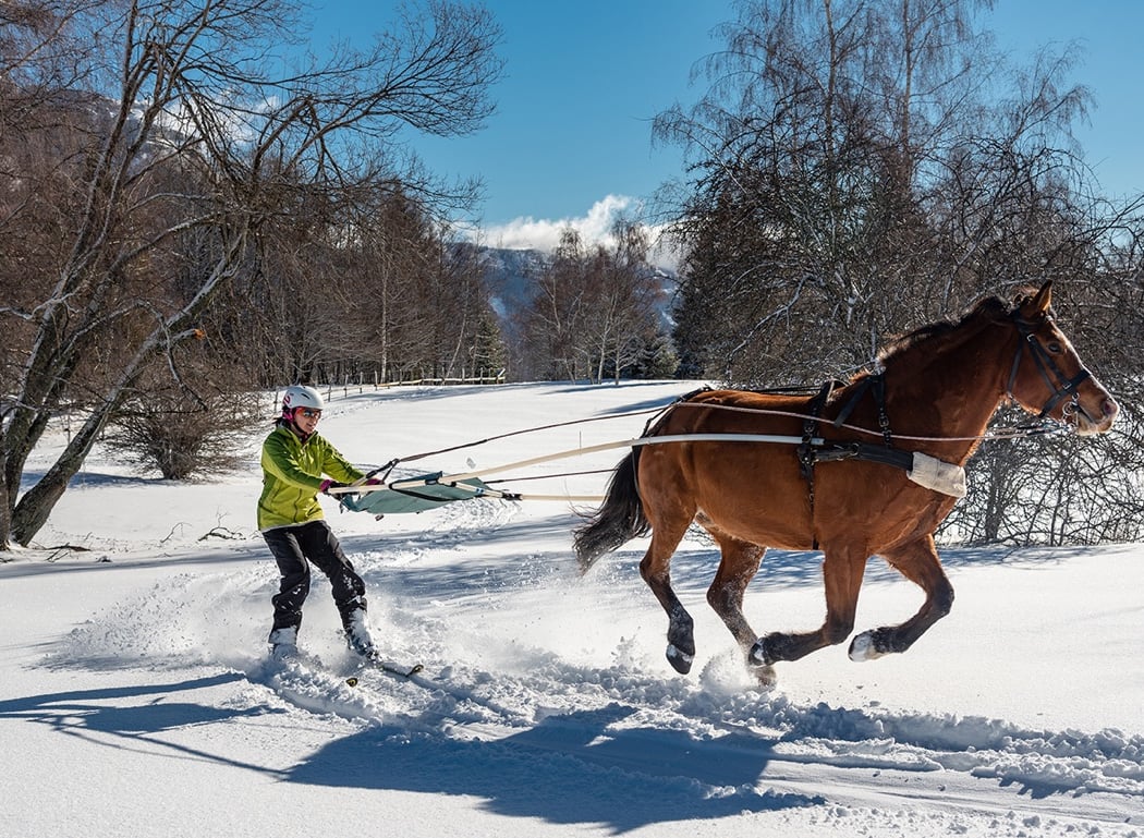 Cercle Equestre Volte Face 1