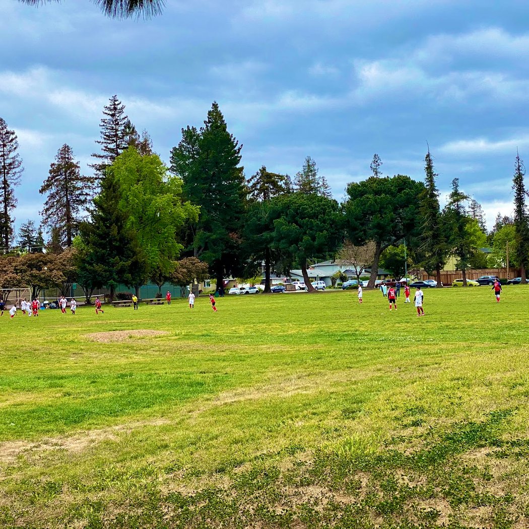 Marijane Hamann Park 3