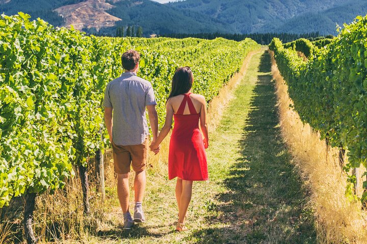 San Francisco: Full Day Coastal Redwoods & Wine Country Tour 3