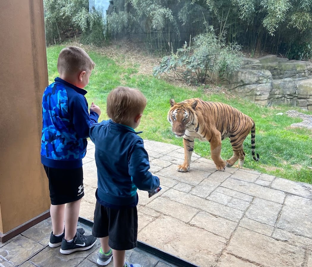 Zoo Knoxville 1