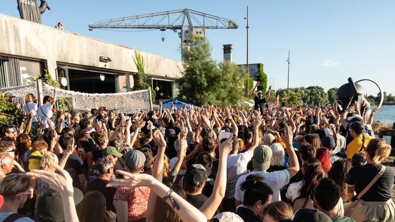 Concerts sauvages 2