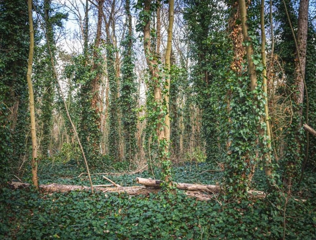 Fort Rosny-sous-Bois 1