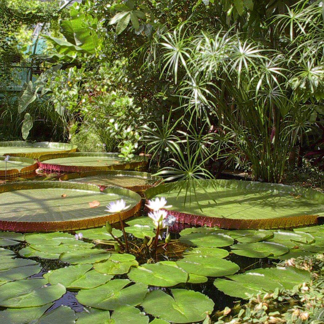 Jardin botanique de Tours 3