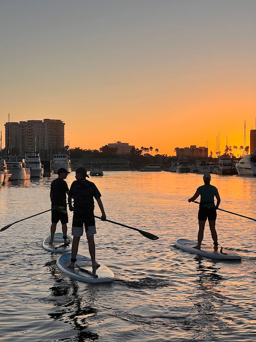 Discovery Paddle 1