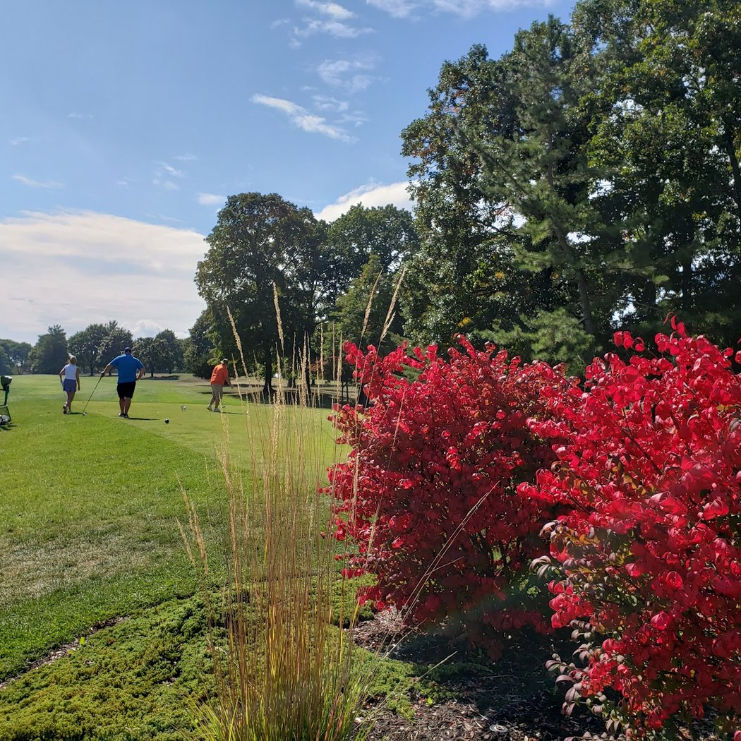 McCann Memorial Golf Course 3