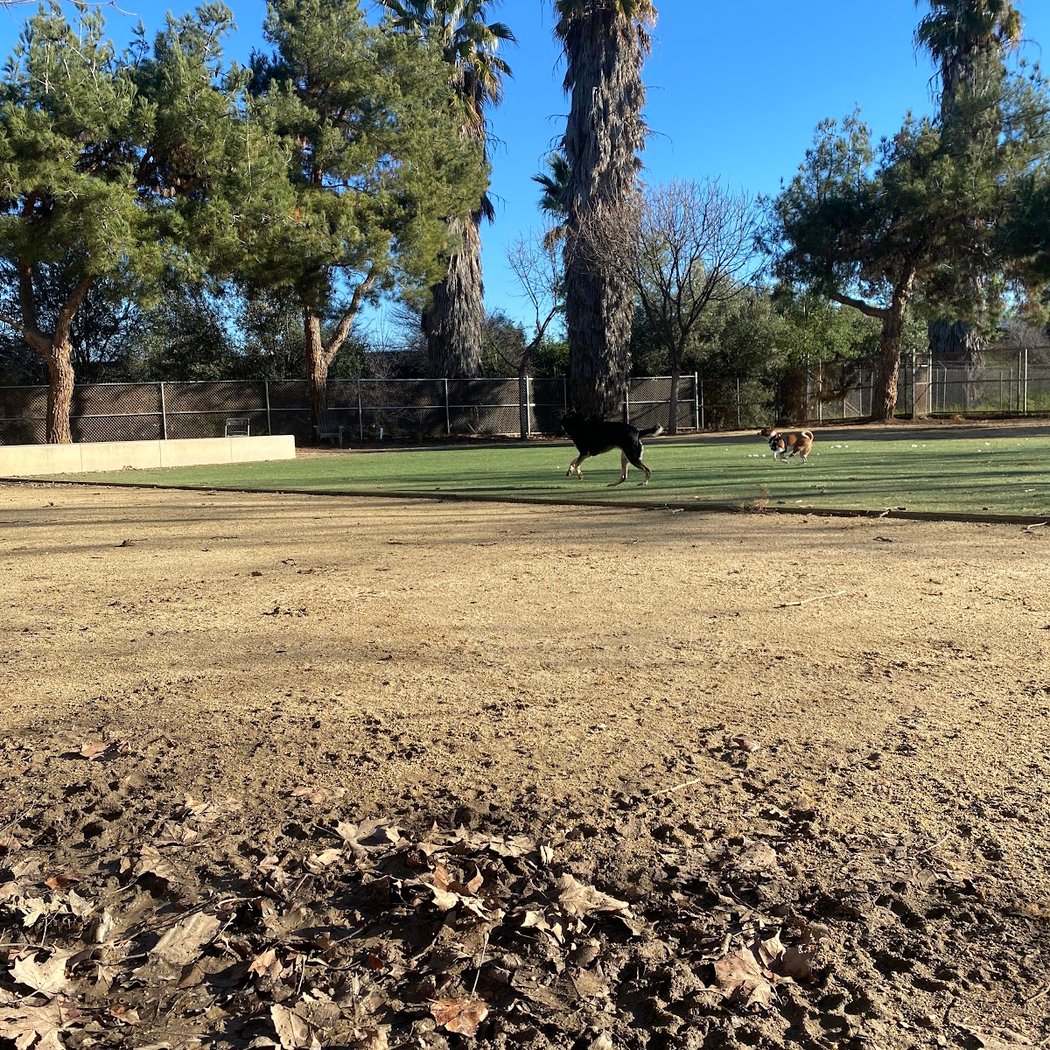 Miyuki Dog Park 3