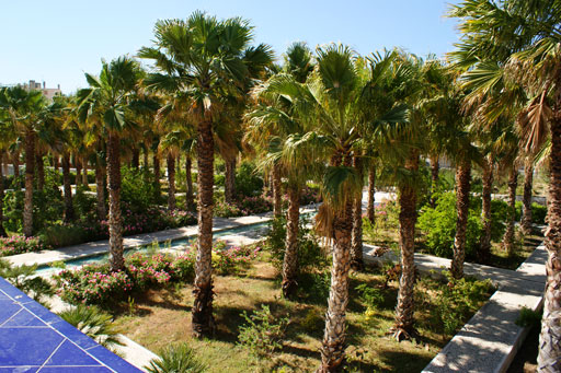 Parc du 26ème Centenaire 3