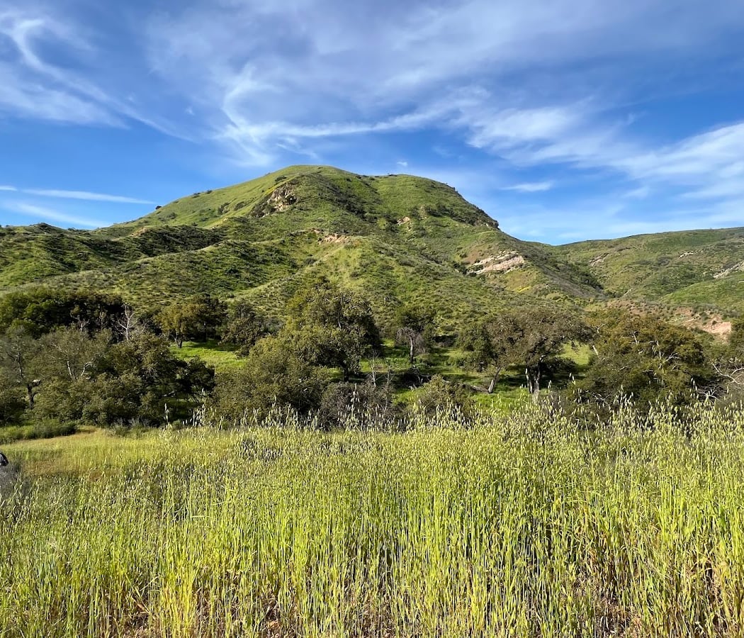Group Stewardship: Limestone Canyon Butterfly Habitat Islands 4
