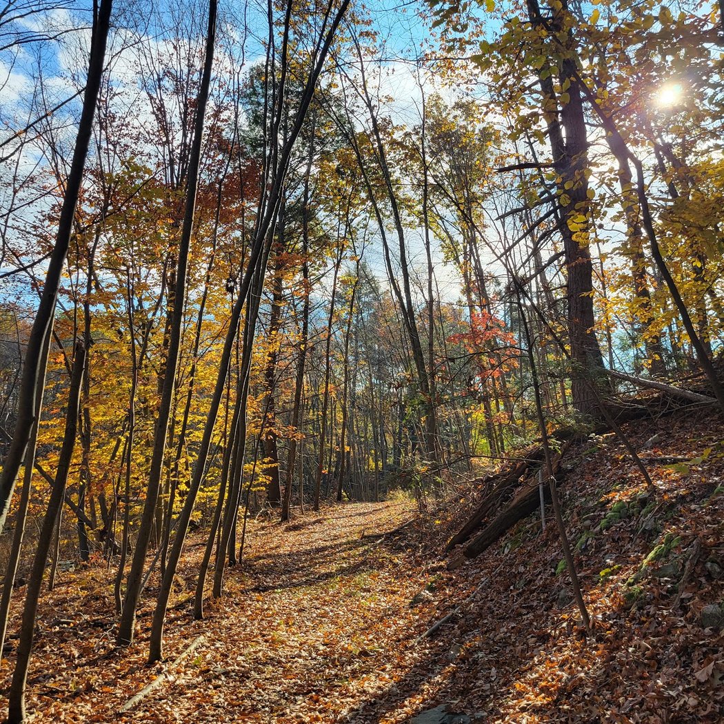 Hudson Highlands Gateway Park Overlook Pond Trailhead 1