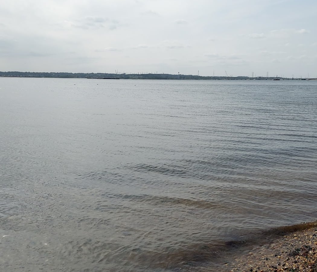 Ward's Point 3