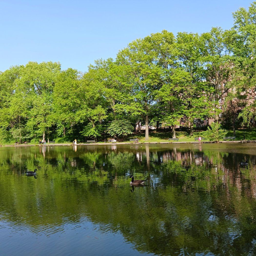 Captain Tilly Park 1