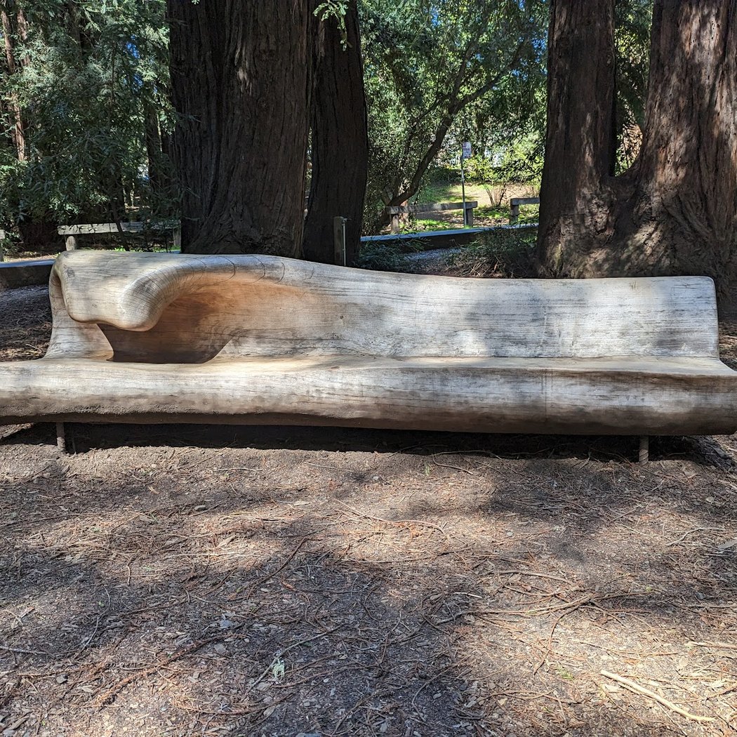 Mill Valley Fall Arts Festival 1