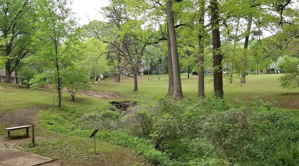 Tree Tour: Connection and Community in Sylvan Hills and Capitol View 2