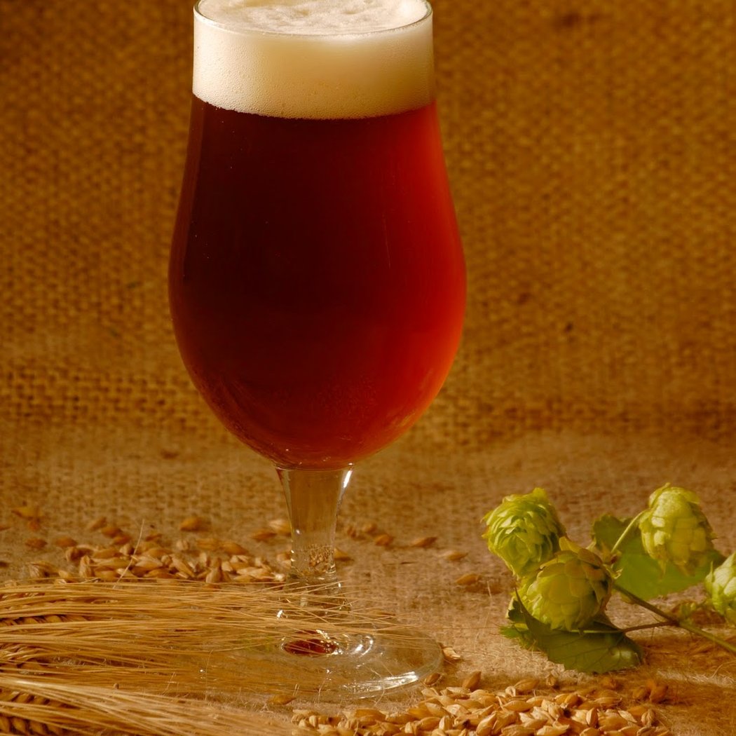 Brasserie Artisanale Bio la Gironnette 1