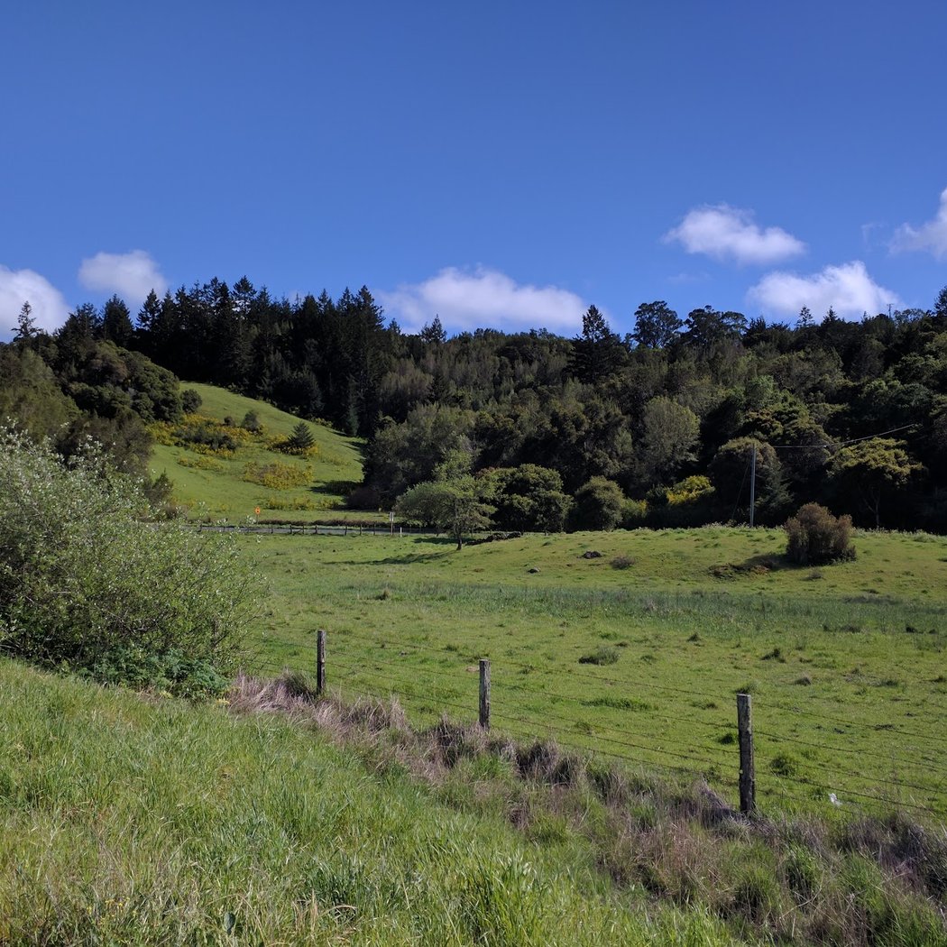 San Geronimo 2