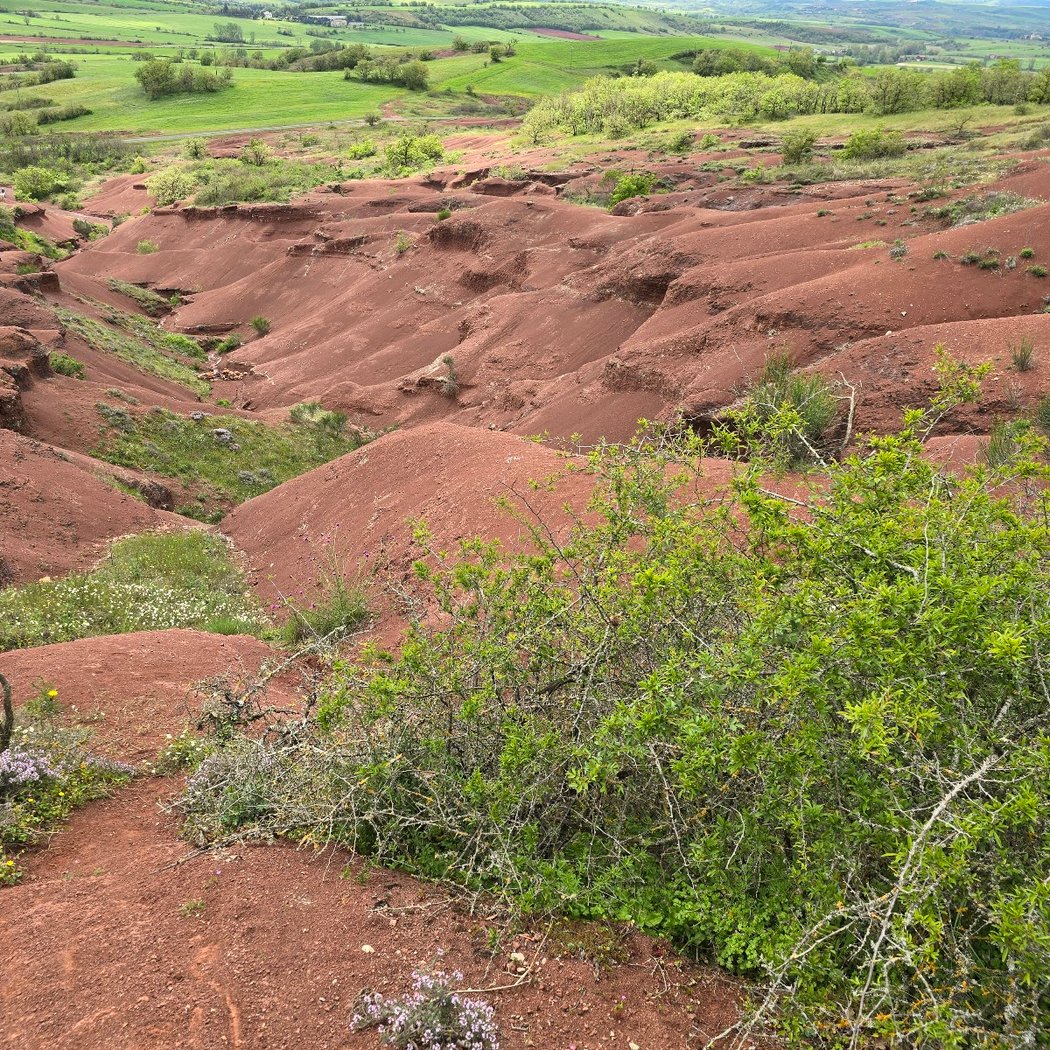 Le Rougier de Camarès 3