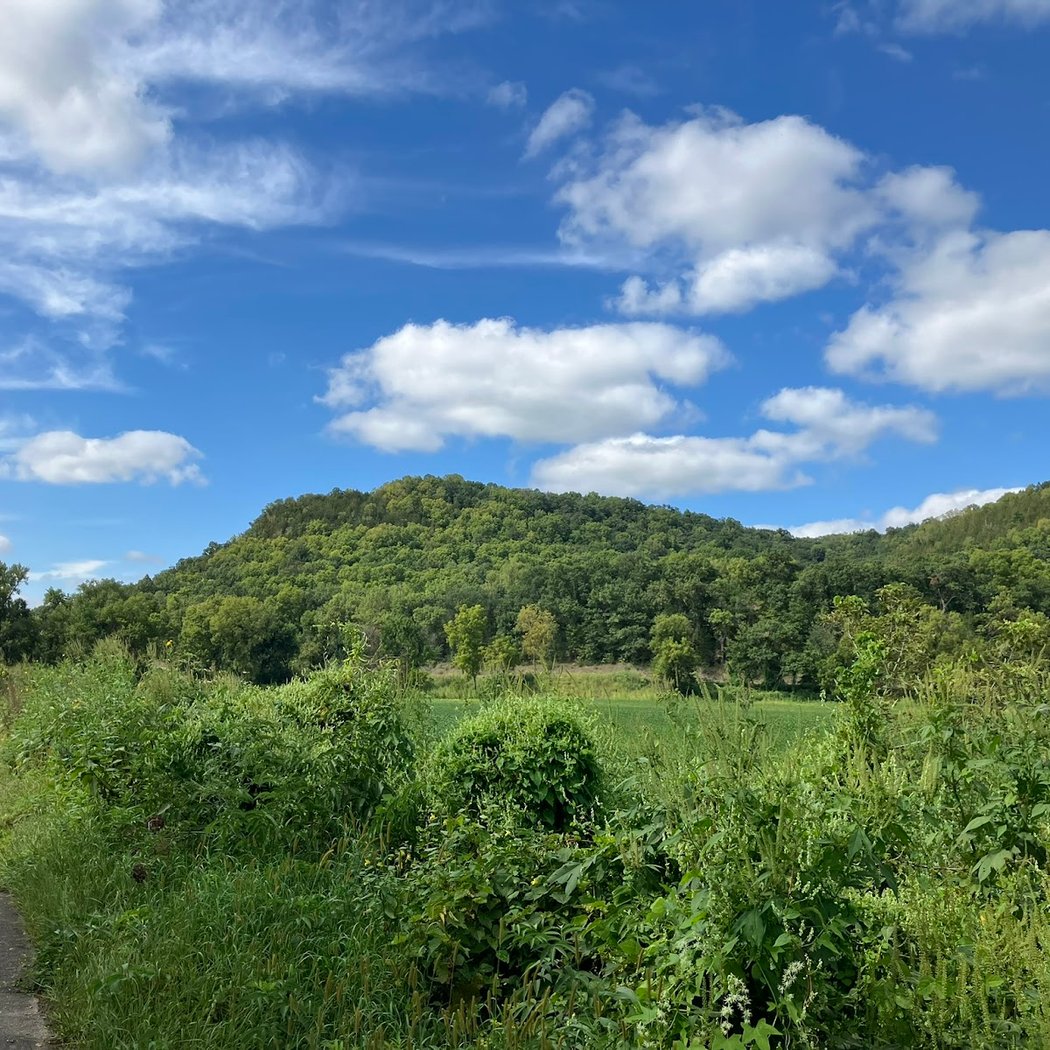 Root River State bike Trail 2