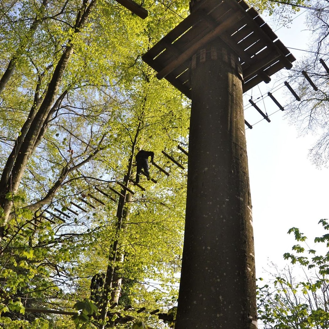 Adventure Park - Signal de Bougy 2