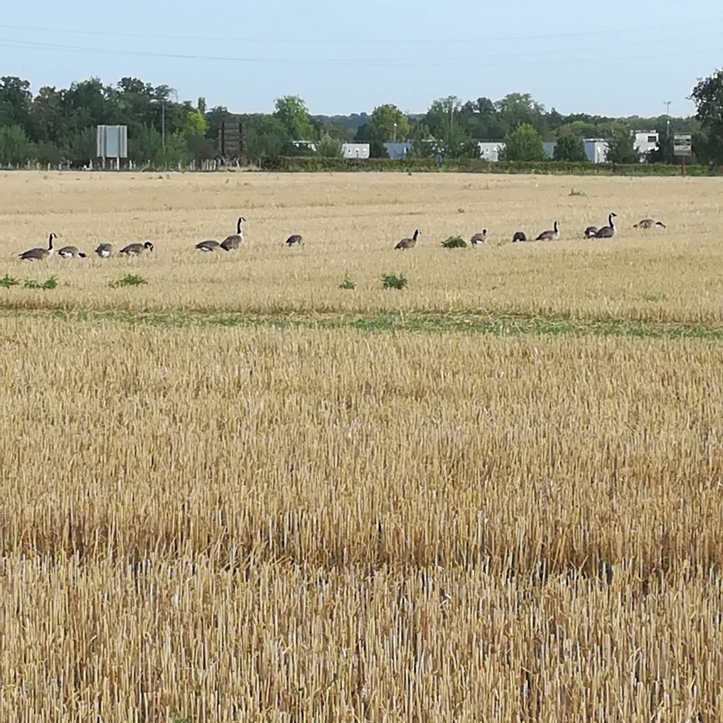 Plateau de Saclay 4