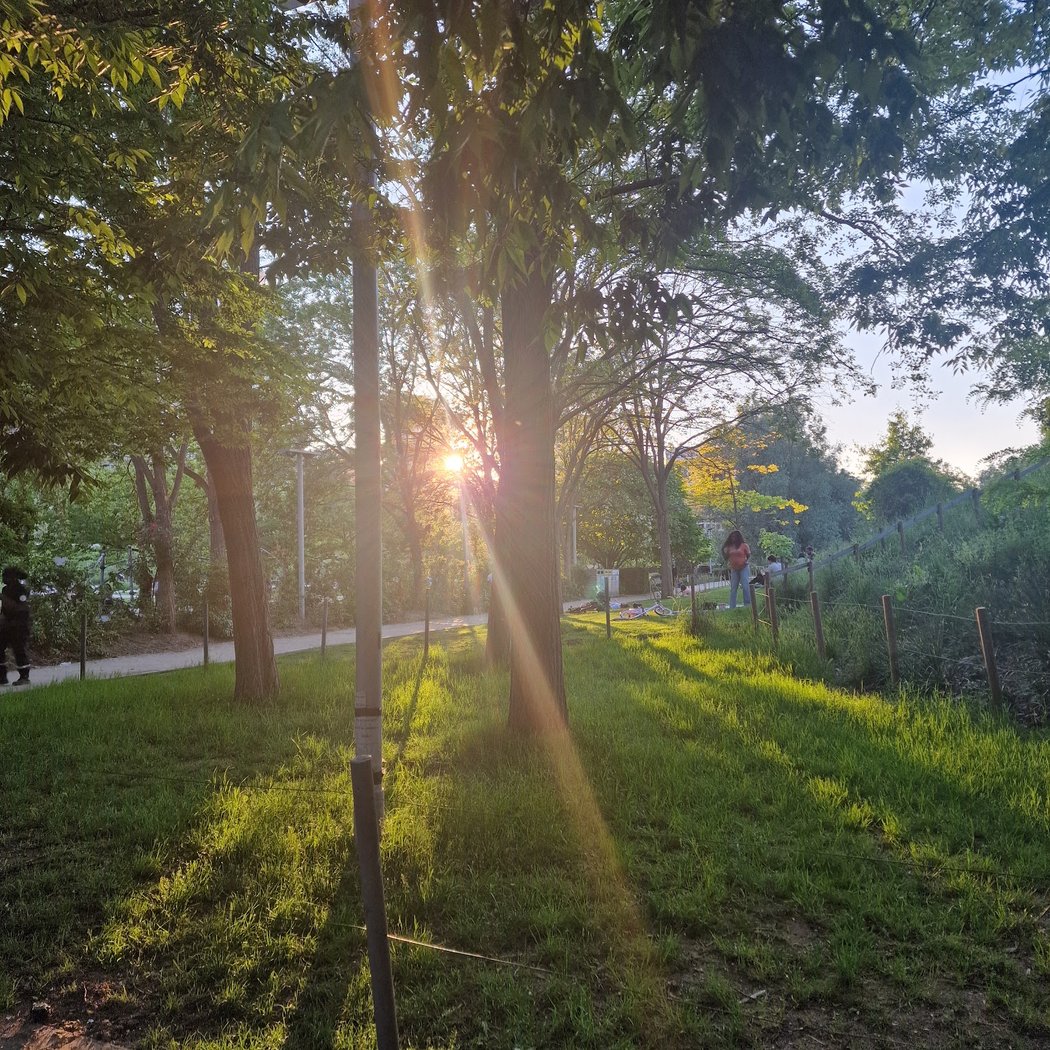 Fontaine des Bois, Parcs et Jardins 2