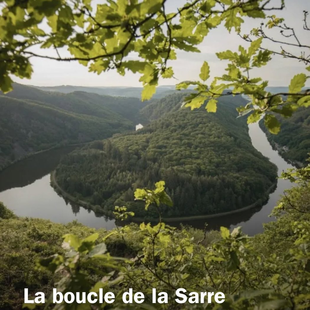 Saar-Hunsrück Nature Park 1