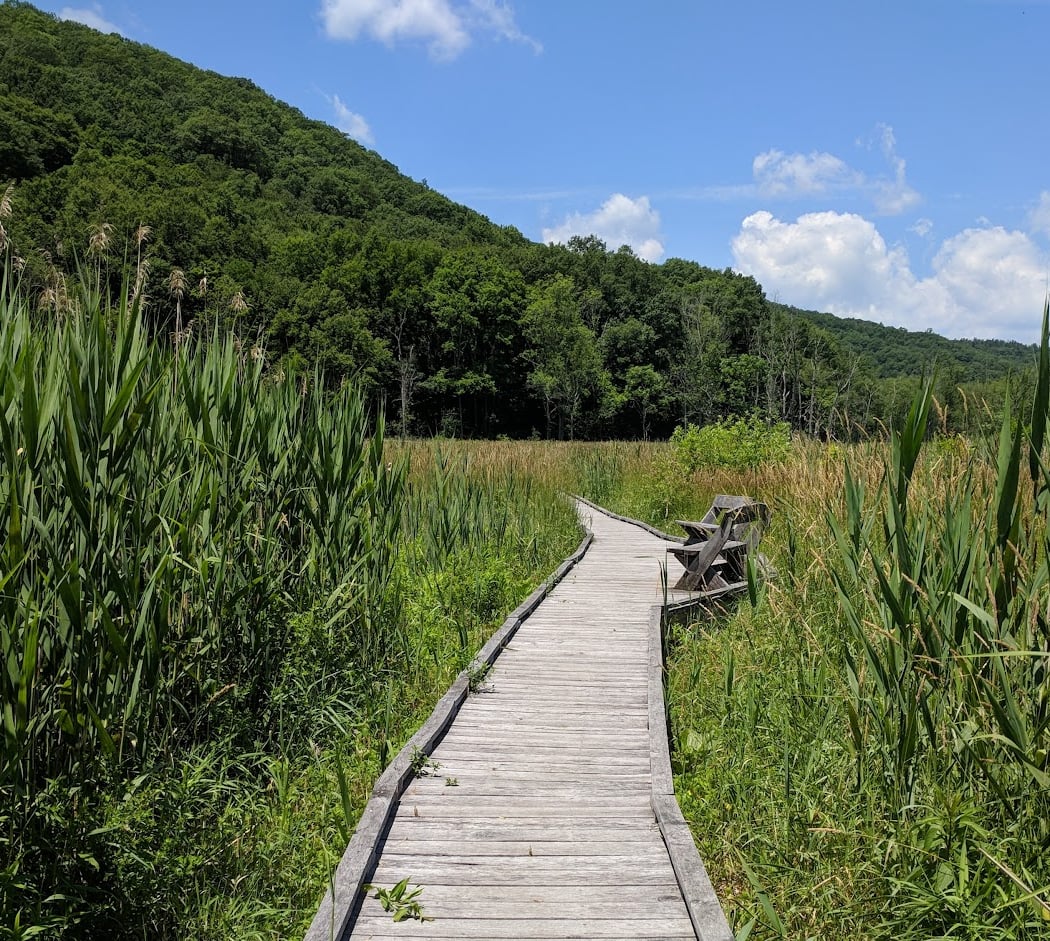 Appalachian Trail & MNRR Station 2