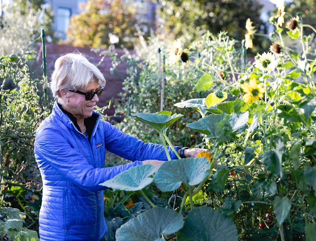 Workday at Sunshine Community Garden 3