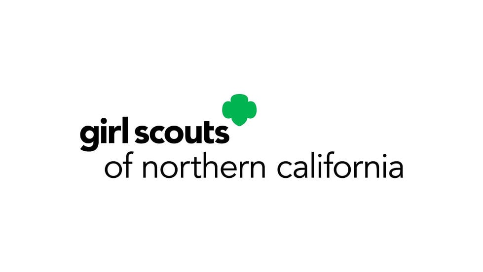 Girl Scouts Meetings 2