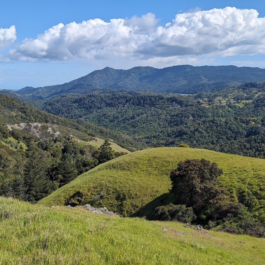 Marin 4-H Camp 3