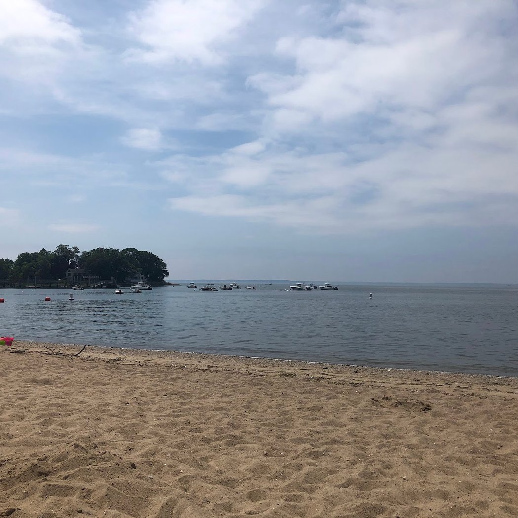Weed Beach 2