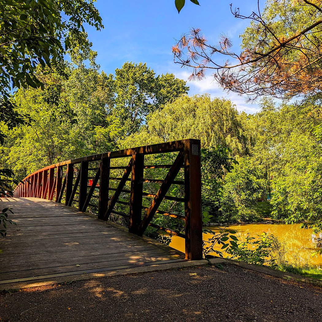 Wilson Park 3