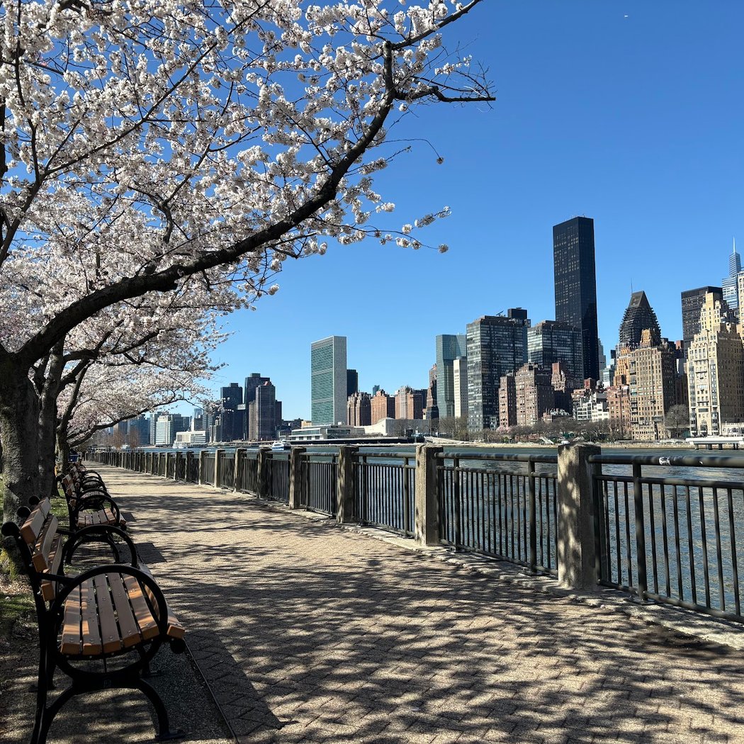 Roosevelt Island Viewpoint - Manhattan Side 2