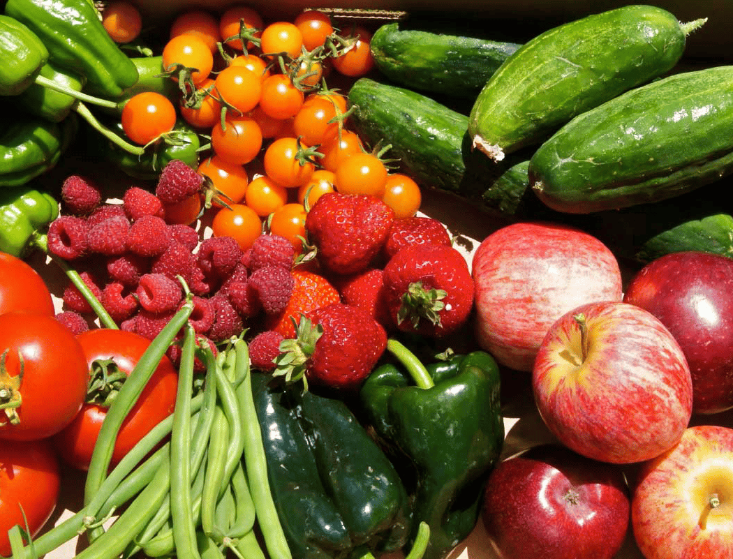 Live Earth Farm: Community Supported Agriculture 2
