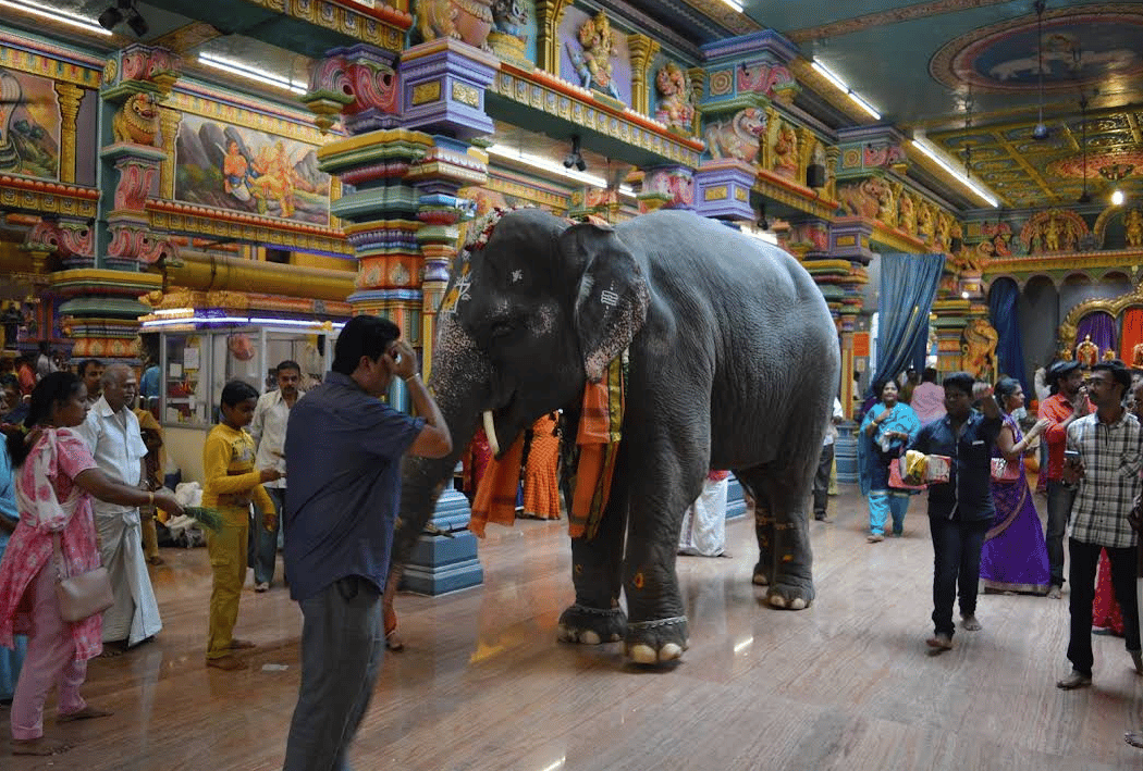 Arulmigu Manakula Vinayagar Devasthanam 1